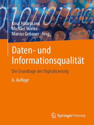Daten- und Informationsqualität - ebook